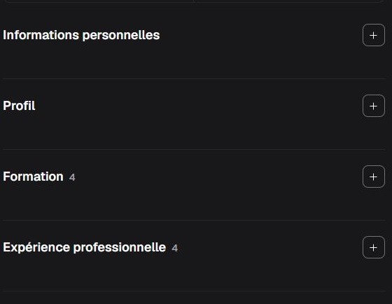 Rubriques du générateur Kamerjob : Informations personnelles, Profil, Formation, Expérience professionnelle et Compétences